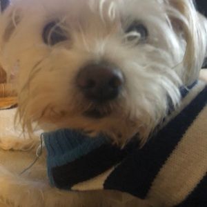 Meet your Posher, Claudia